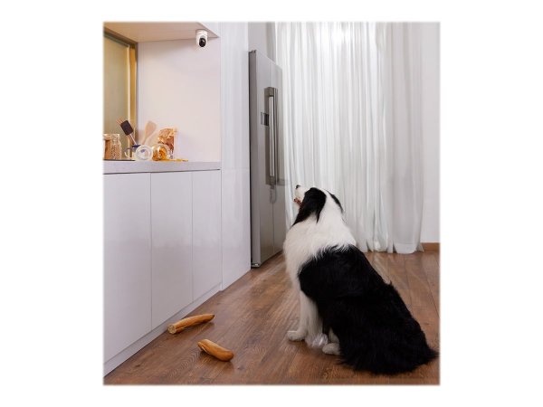 Anker Innovations Eufy E220 - Telecamera di sicurezza IP - Interno - Amazon Alexa & Google Assistant