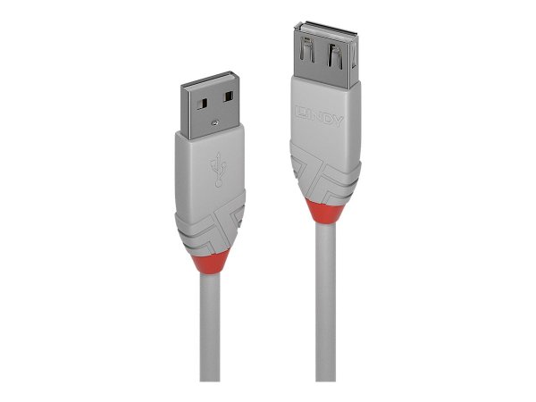 Lindy USB 2.0 Typ A Verlängerungskabel - Cavo - Digitale/dati