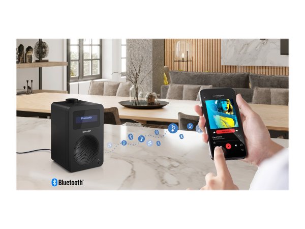 Sharp DR-430 - Personale - Digitale - DAB - DAB+ - FM - 5 W - AAC - LCD