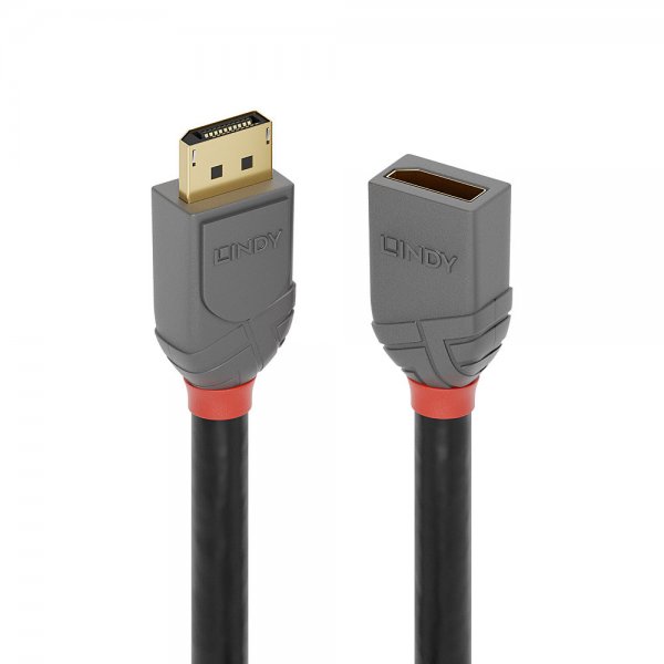 Lindy DisplayPort Verlängerungskabel Anthra Line - Cavo - Digitale/display/video