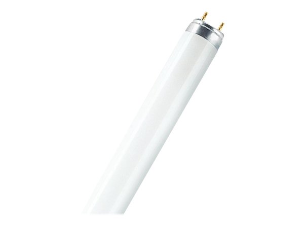 Osram LUMILUX - 36 W - G13 - T8 - 20000 h - 3100 lm - Bianco freddo