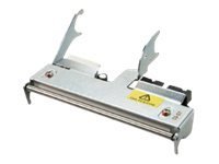 HONEYWELL 300 dpi - Druckkopf - für PM43