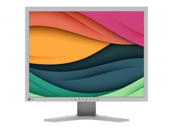EIZO FlexScan S2134-GY - 54,1 cm (21.3") - 1600 x 1200 Pixel - UXGA - LCD - 6 ms - Grigio