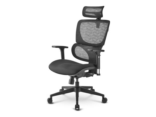 Sharkoon OfficePal C30 - Seduta a nido - Schienale a rete - Nero - Nero - Tessuto - Rete