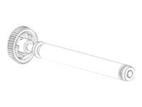 TSC Platen roller assembly