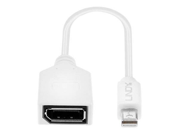Lindy 41021 - 0,15 m - Mini DisplayPort - DisplayPort - Maschio - Femmina - Bianco