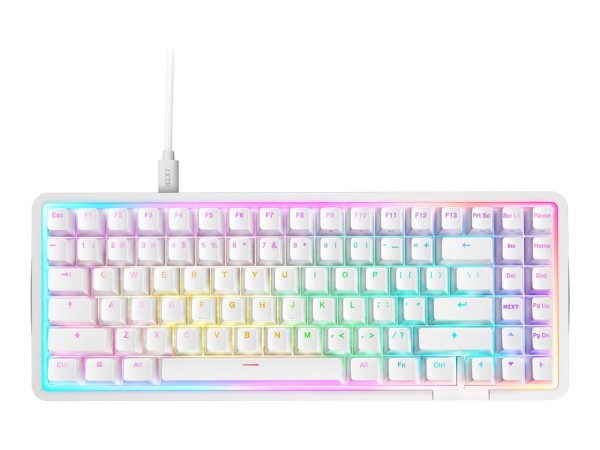 NZXT Function Elite - Keyboard - TKL - backlit - USB - QWERTZ - German - Tastiera - QWERTZ