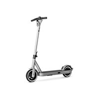 SoFlow SO ONE e-Scooter mit Straßenzulassung silber/grau