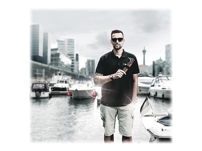 Wera Imperial Stainless 1 3950/9 - Inbusschlüssel-Set