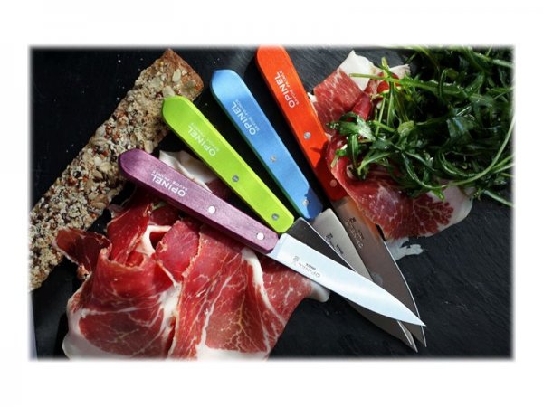 Opinel Kochmesser silber blau gruen orange violett glatt Klinge