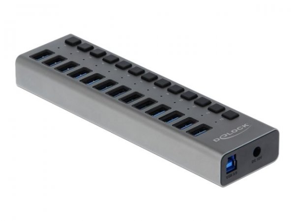 Delock Hub USB 5 Gbps esterno con 13 porte + Switch - USB 3.2 Gen 1 (3.1 Gen 1) Type-B - USB 3.2 Gen