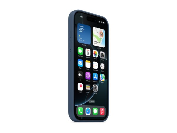 Apple iPhone 16 Pro Silikon Case mit MagSafe