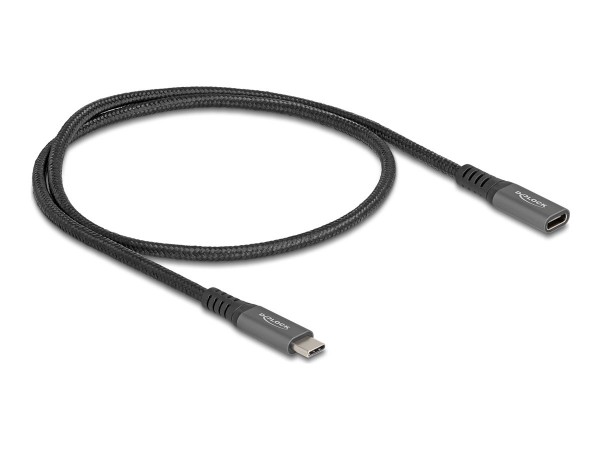 Delock USB 10 Gbps Verlängerungskabel Type-C Stecker - Cavo - Digitale/dati