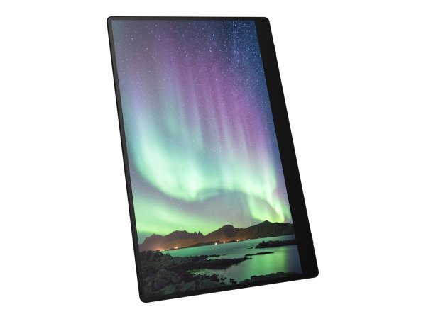 Fsas Technologies Ricoh Monitor portatile 150BW - 39,6 cm (15.6") - LED - 1920 x 1080 Pixel - 16:9 -