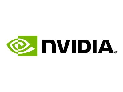 NVIDIA Rtx 2000 Ada Gddr6 Retail - Scheda grafica - PCI-Express