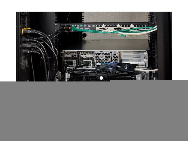APC KVM-USBVM - Nero - D-Sub - USB - RJ-45 - 130 g - 129 mm - 42 mm