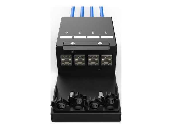 DIGITUS Konsolidierungspunkt-Box 4Ports Keystone Module - Cavo - Fibra multimodale