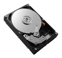 Dell 161-BBRX - 8 TB - 7200 Giri/min - 3.5" - SAS