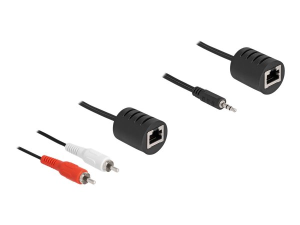 Delock Stereo Audio Extender RJ45 Buchse zu Klinkenstecker und 2 x - Cavo/adattatore - Audio/multime