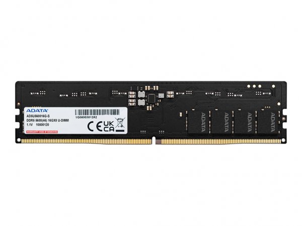 ADATA DIMM 16 GB DDR5-5600 (2x 8 GB) Dual-Kit (schwarz, AD5U56008G-DT, Premier Tray) - 16 GB - DDR5