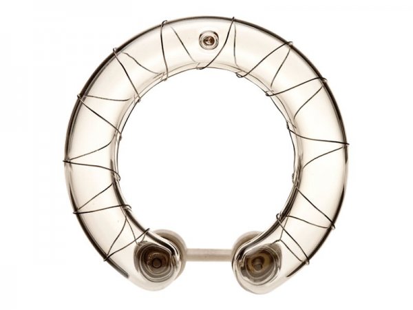 Elinchrom E24009 - Lampada - 1 pz - D-Lite RX ONE 2 D-Lite RX ONE 4