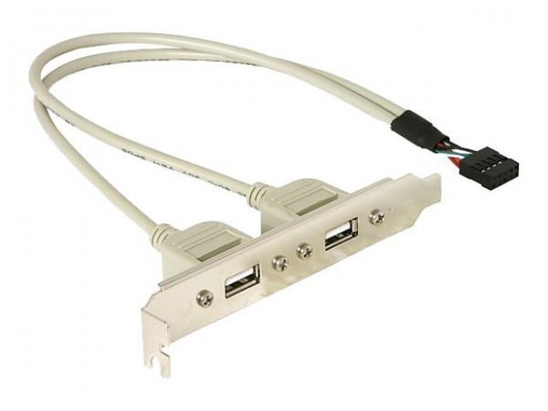 Delock Slotbracket 1x internal USB 5pin > 2x USB2.0 external - 0,3 m - USB A