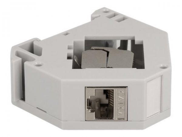 Delock Adattatore per guida DIN con modulo Keystone RJ45 femmina Cat.6A LSA - Grigio - RJ-45 - LSA -