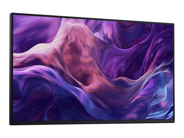 Dell 24 Monitor P2425H - Schermo piatto (tft/lcd) - 61 cm