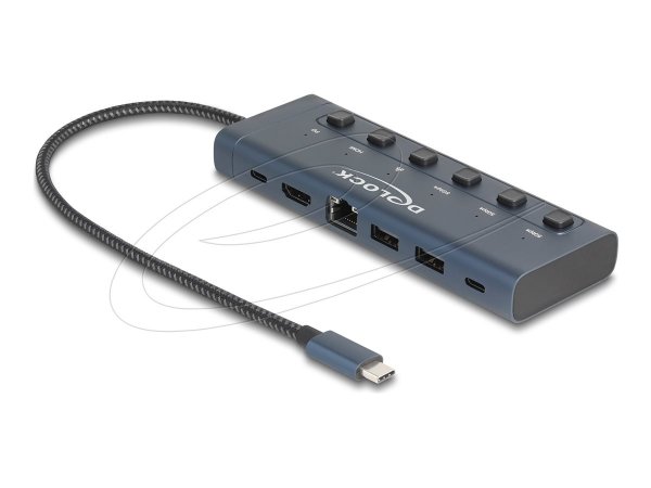 Delock USB Type-C Dockingstation 4K 90W mit Schalter