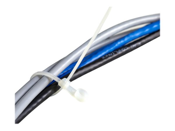 StarTech.com Fascette fermacavo da 20 cm con foro di montaggio - 4 mm di larghezza - 52 mm di diamet