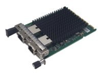 Fsas Technologies PLAN EP X710-T2L 2x10GBASE-T PCIE - Nic - PCI