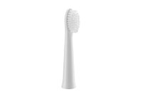 Panasonic WEW0972W503 - 2 pezzo(i) - Bianco - EW-DW81 - EW-DW81