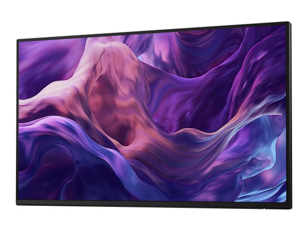 Dell P2425HE 24 USB-C Monitor - Schermo piatto (tft/lcd) - 61 cm