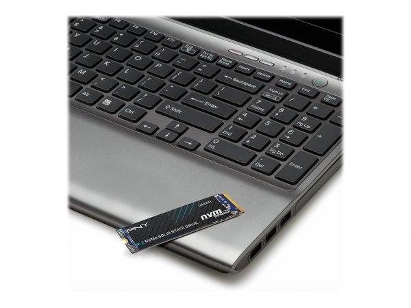 PNY CS2241 - SSD - 500 GB - intern - M.2 2280 - PCIe 4.0 x4 (NVMe)