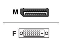 Sharkoon Display-Adapter - DisplayPort M - Cavo - Digitale/display/video