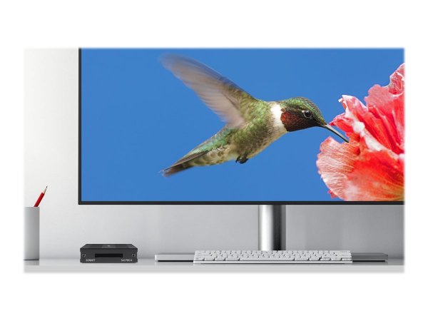 Sonnet SxS PRO X - SD - SDHC - SDXC - Nero - Thunderbolt 3 - 72 mm - 105 mm - 19,5 mm