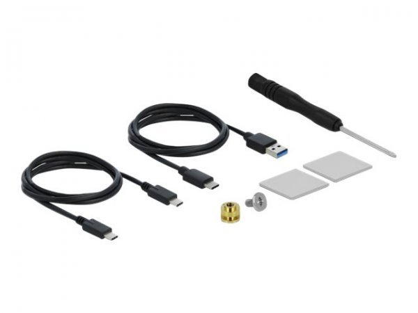 Delock Custodia esterna per SSD PCIe NVME M.2 con USB Type-C femmina trasparente - Box esterno SSD -