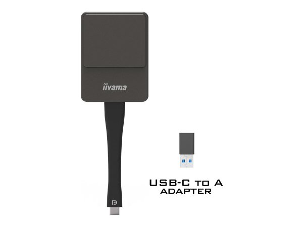 Iiyama WP D002C - 4K Ultra HD - 3840 x 2160 Pixel - 480p - 576p - 720p - 1080p - 60 fps - USB - USB