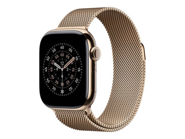 Apple Milanese Loop Gold