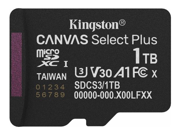Kingston Canvas Select Plus - Flash-Speicherkarte