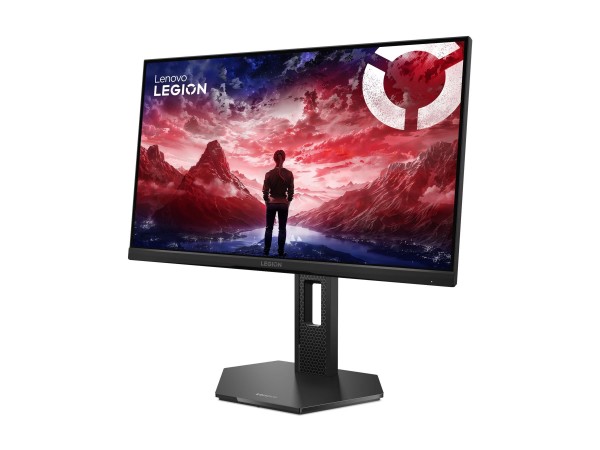 Lenovo Legion 25-10 - LED-Monitor - Schermo piatto (tft/lcd) - 62,2 cm