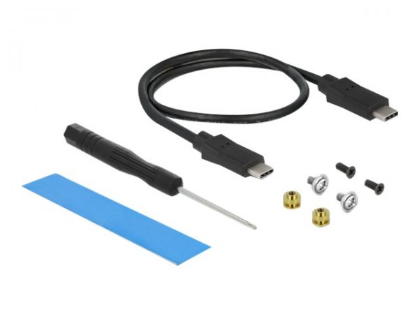 Delock Gehäuse USB Type-C M.2 NVMe PCIe SSD oder SATA - Alloggiamento - 2"