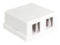 Delock Keystone Leergehäuse 2 Port