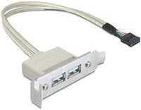 Delock Slot bracket - USB-Kabel - USB W zu 9-poliger USB-Header - USB2.0 - Cavo - Digitale/dati