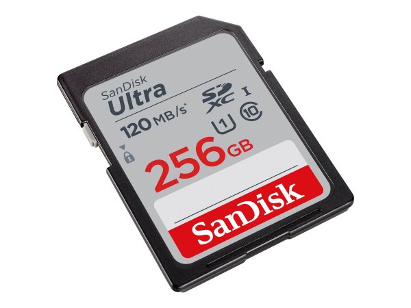 SanDisk Ultra - 256 GB - SDXC - Classe 10 - UHS-I - 150 MB/s - Class 1 (U1)
