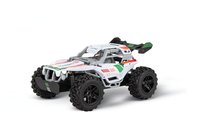 Stadlbauer 370200003 Team Rider 1 20 RC Einsteiger Modellauto Elektro Buggy