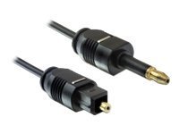 Delock Kabel Toslink St - mini - Cavo - Audio/multimedia