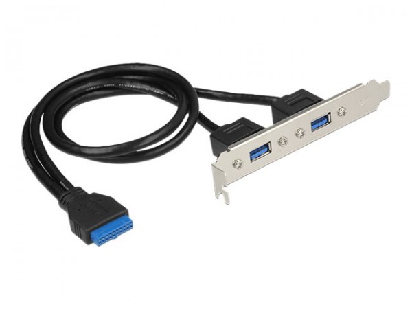 Delock Slot bracket - USB-Konsole - USB - Cavo - Digitale/dati