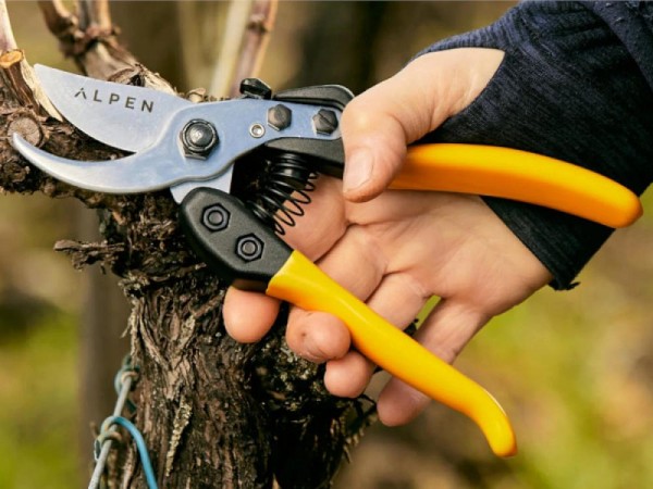 Alpen Swiss Tools Alpen BERNINA 6195 Ersatz-Saegeblatt