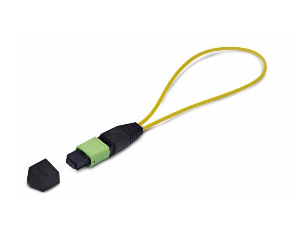 StarTech.com Single Mode MPO-12 Female Loopback Plug - Adattatore - Digitale/dati